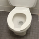 Illustration for article titled Study Finds Flushing Toilets Wastes Billions Of Gallons Of Piss And Shit Annually